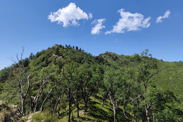 尖山风景区攻略，假期一家人出游蔚县飞狐峪里的尖山