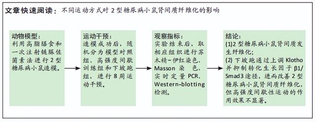 糖尿病小鼠模型(糖尿病小鼠模型的构建实验报告)