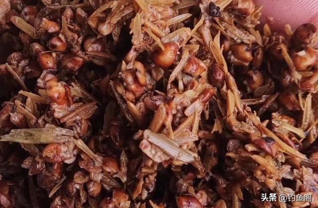 普通窝料加什么钓鱼，泡窝料最常用的几种添加剂