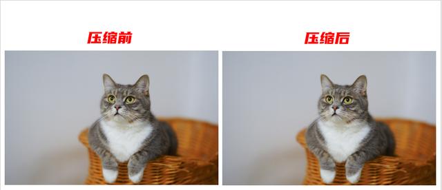 如何缩小ppt文件大小，ppt如何压缩到想要的大小（怎么压缩ppt文件大小）