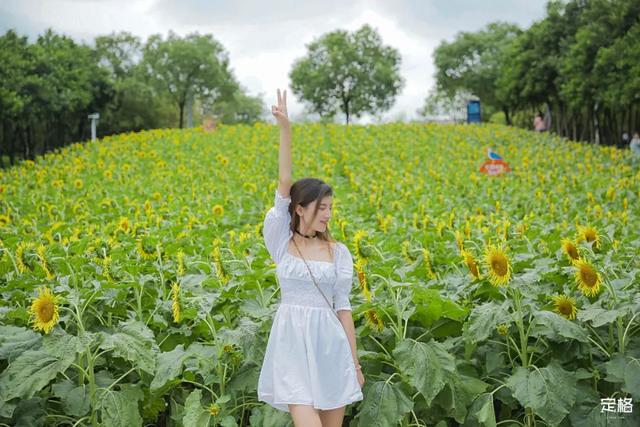 深圳地铁1号线游玩，免费地铁直达深圳这些地方一天玩遍