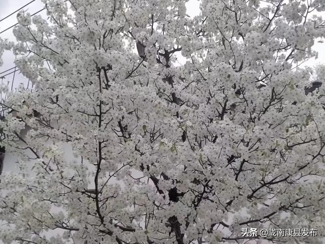 明月山景区有哪些景点，康县名山之明月山