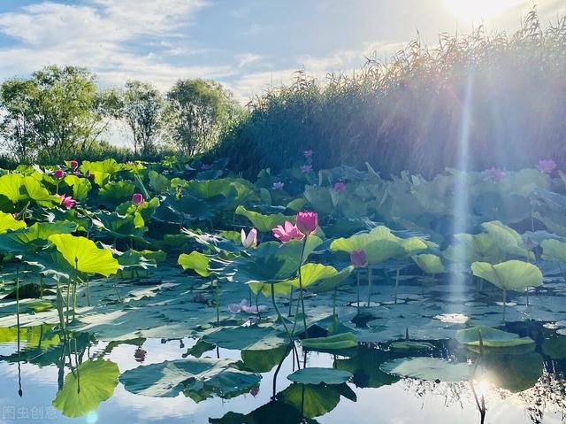 十省通衢分别是哪些城市，国内被称为九省通衢