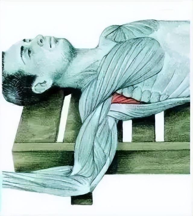 10分钟懒人拉伸训练动作，这6组33个拉伸动作绝了