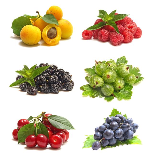 凤仙花有关的资料，小时候的“玩具”凤仙花