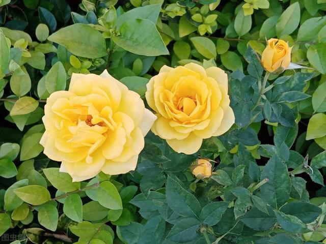 九月文案短句干净治愈，干净到极致适合朋友圈