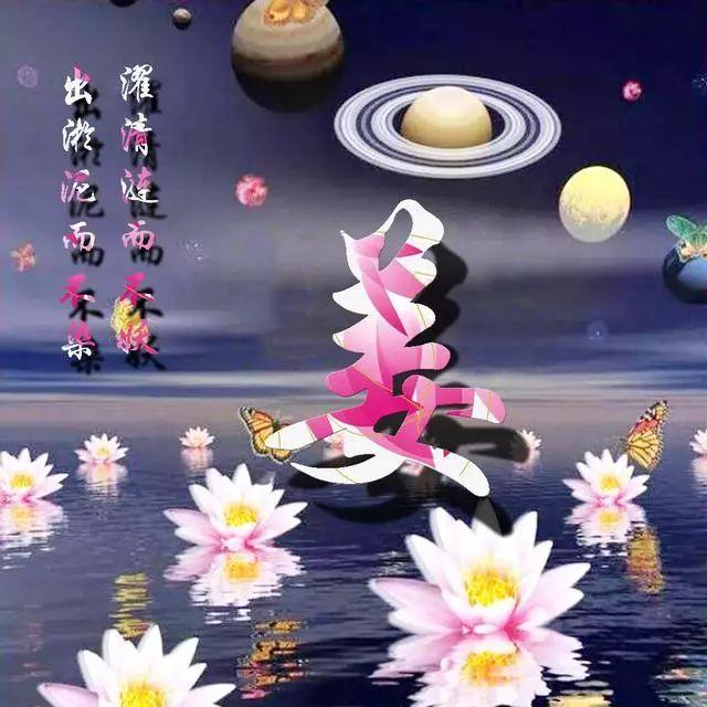 荷花头像图片大全，荷花头像高清图