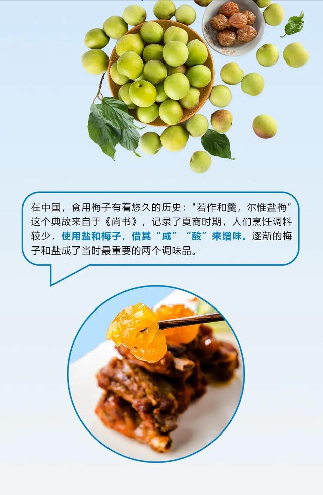 乌梅对肥胖(乌梅长胖)