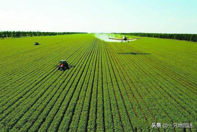 世界四块黑土地是哪四块，全球仅有三块黑土地