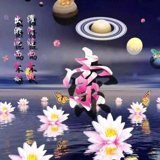 荷花头像图片大全，荷花头像高清图