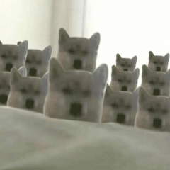 可爱小狗表情包，可爱表情包大全狗子