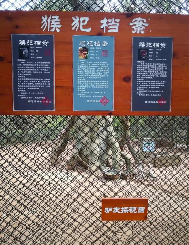 海南岛有哪些景点值得去，海南这6个5A景区