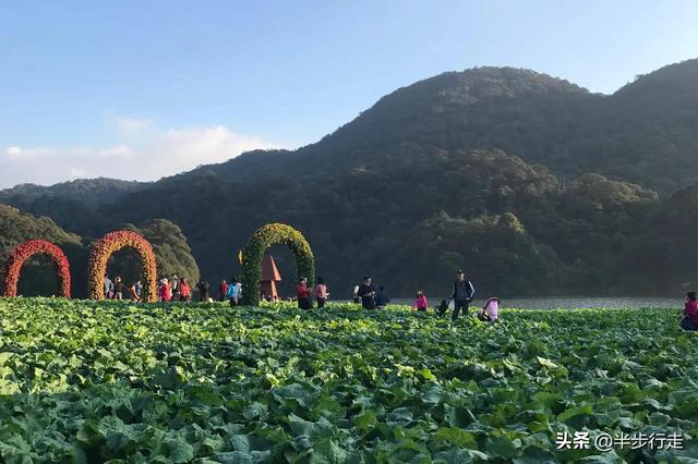 广州石门公园景点，赏红叶首选，当属从化石门