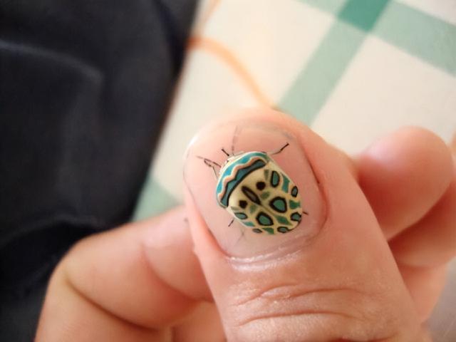 世界上十大最奇怪昆虫，花螳螂被认为是最美丽的昆虫