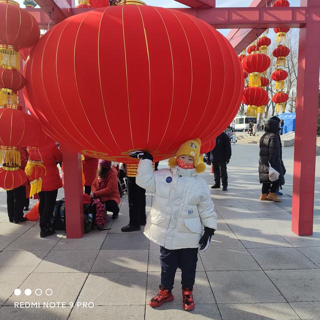 关于秋天的看图写话二年级五十字，春天到了或植树<20篇>