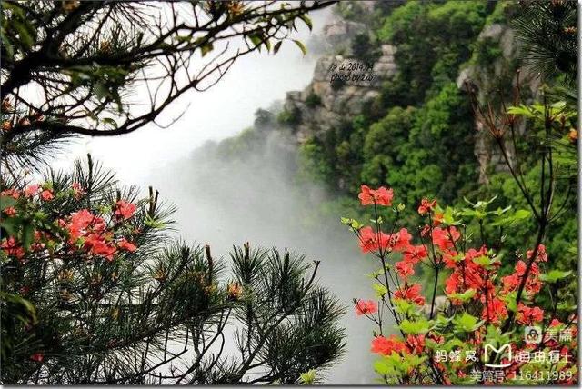 江西庐山旅游一日游，南昌到庐山一日游