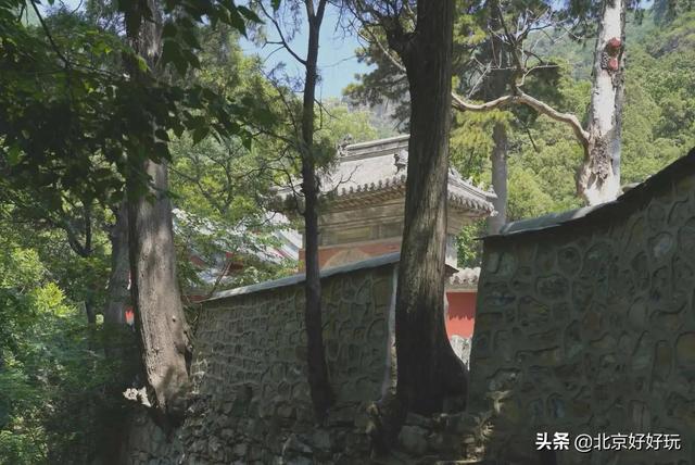 北京西山森林公园，北京西山森林公园登山路线推荐（西山国家森林公园）