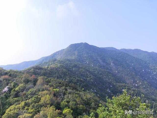 深圳排名前十山峰，这17座深圳山峰你有爬过吗