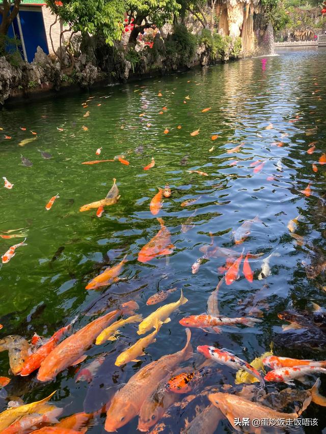 广州周末适合去玩的地方，一定不要错过广州最值得去的10大景点