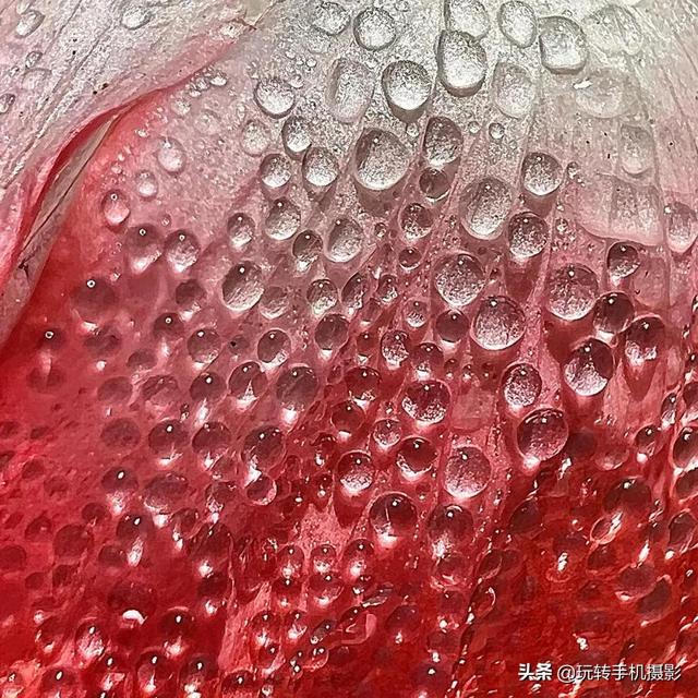 绿色星球有哪些，豆瓣评分9.8的绿色星球