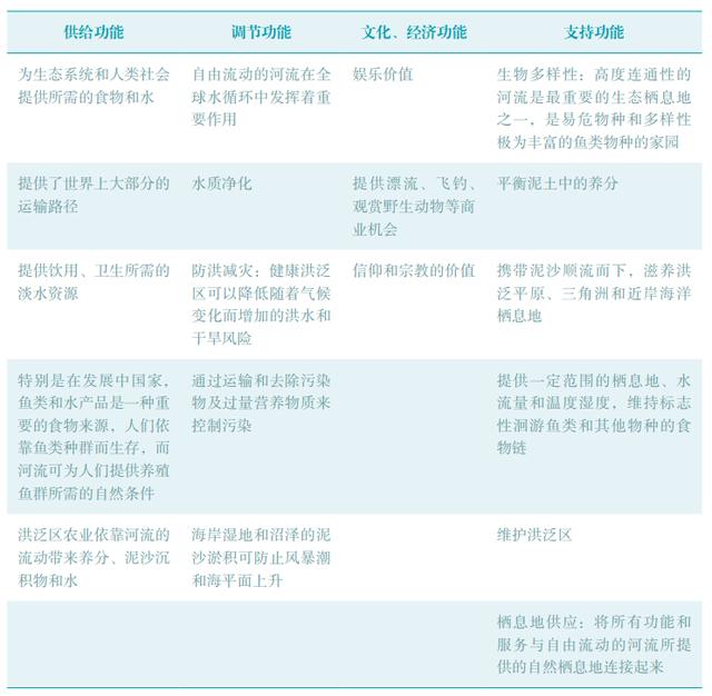 河流入海口处渔业资源丰富的原因，从源头到河口自由流淌河流的重要性以及洄游鱼类的价值