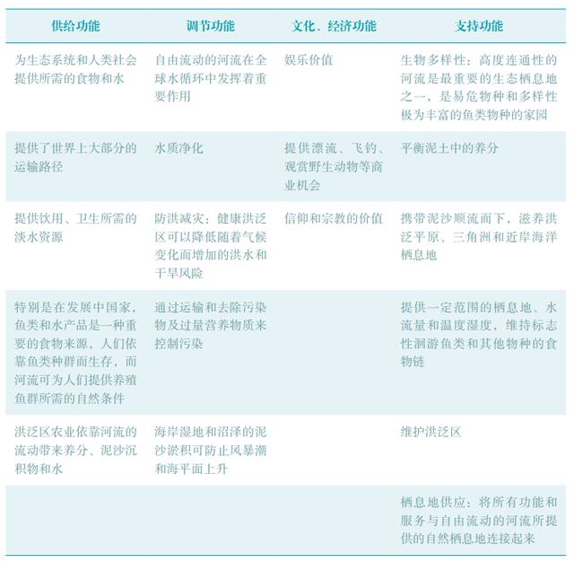 河流入海口处渔业资源丰富的原因，从源头到河口自由流淌河流的重要性以及洄游鱼类的价值