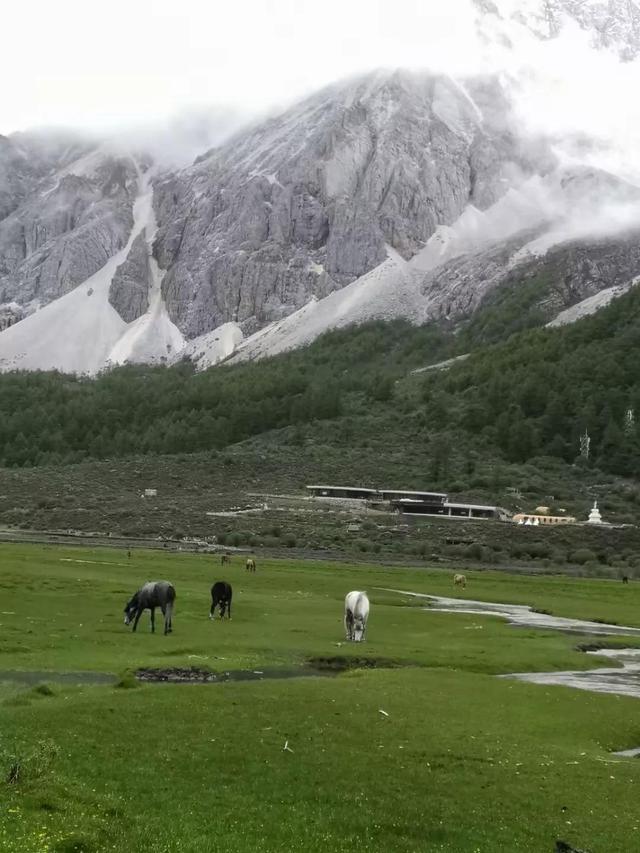 赞美小女初长成，赞美小女初长成的感言（吾家有女初长成——小“格格”给大“格格”的信）