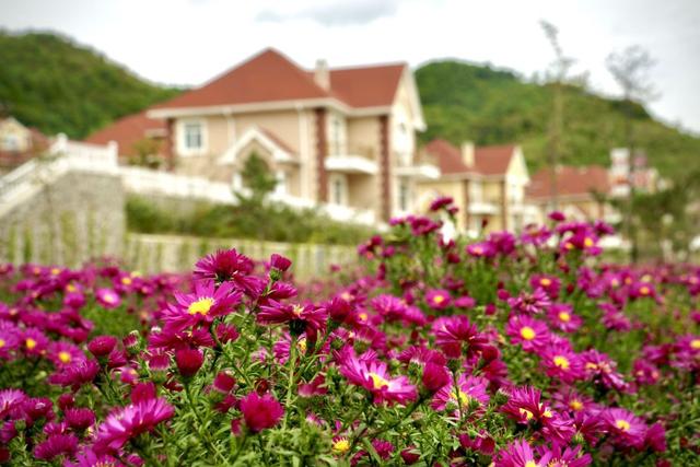 天桥沟森林公园，天桥沟国家森林公园是几a（去过的游客表示：很值得）