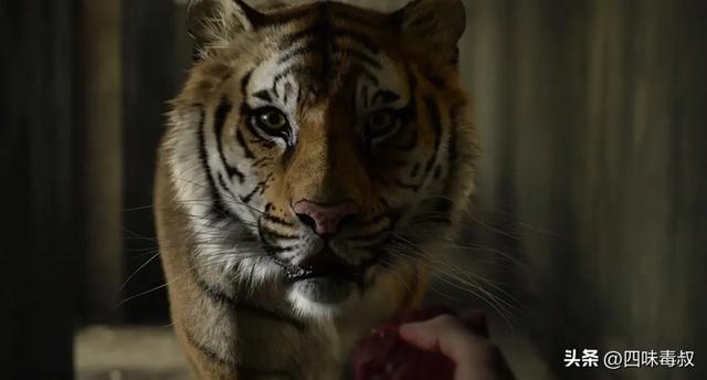 简短航海日志，这份人生航海宝典你一定要收下