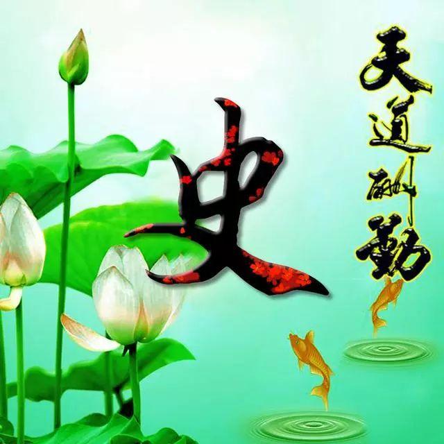 荷花头像图片大全，荷花头像高清图