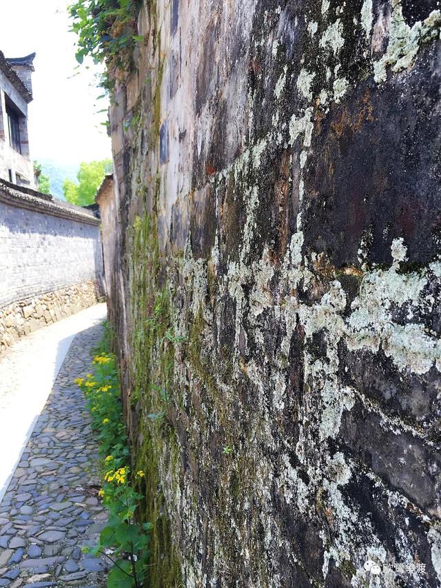 泾县桃花潭周边景点介绍，桃花潭水深千尺