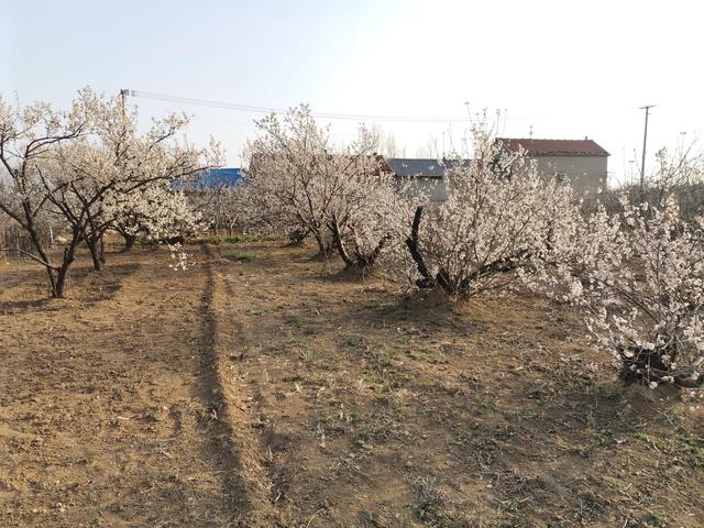 四月份是什么季节，四月份的时候是什么季节了
