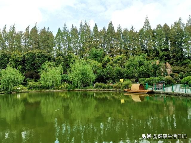 上海最值得徒步的路线，徒步上海普陀区甘泉公园