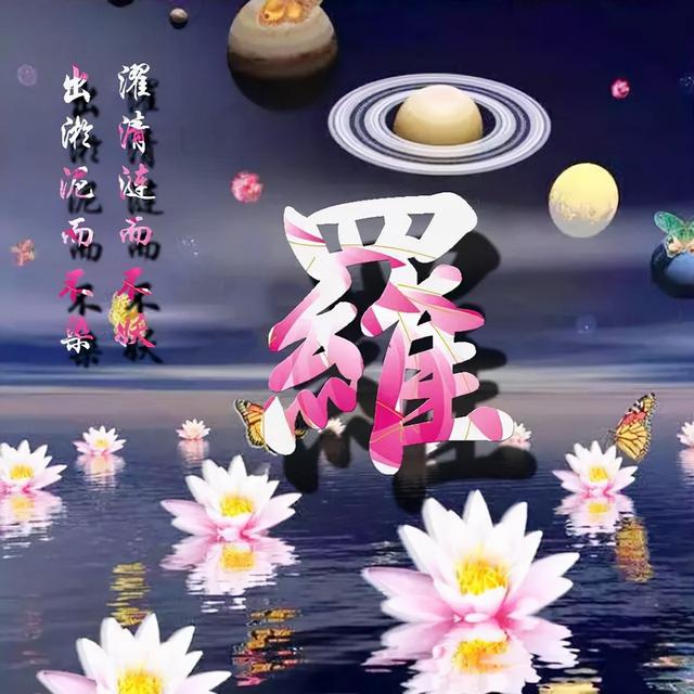 荷花头像图片大全，荷花头像高清图