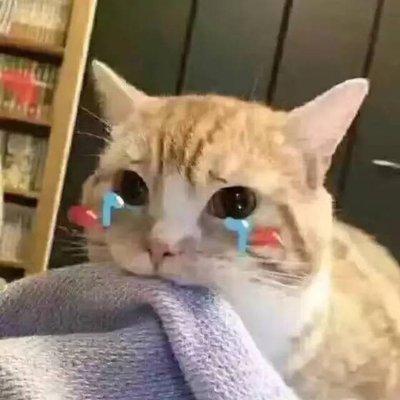 贾乃亮深夜发文挂微博，贾乃亮否认复合传闻