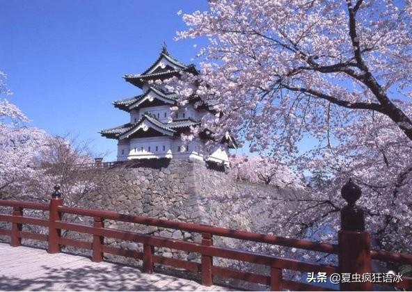 只狼苇名城主城详细攻略，现实中的只狼:苇名城真的存在吗