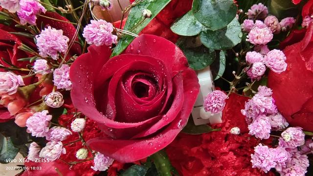 好的养老院有那些，目前有什么好的养老院