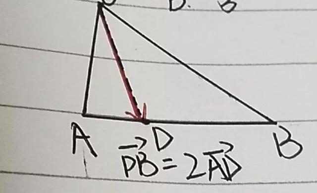 平面向量中的共线定理，平面向量共线推论