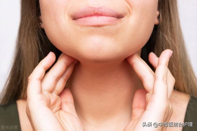 脖颈是哪个部位，脖子都有什么器官示意图