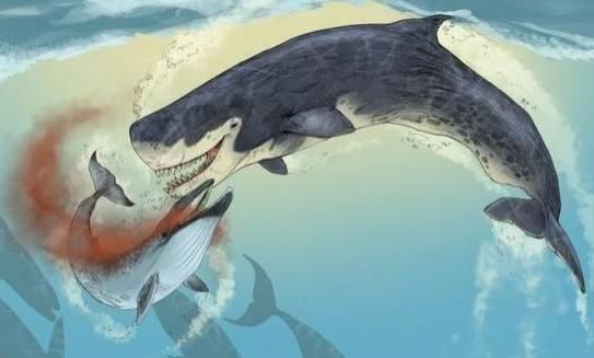 海洋十大霸主排行榜，世界上最可怕的十大海洋生物——虎鲸到底是不是海洋霸主