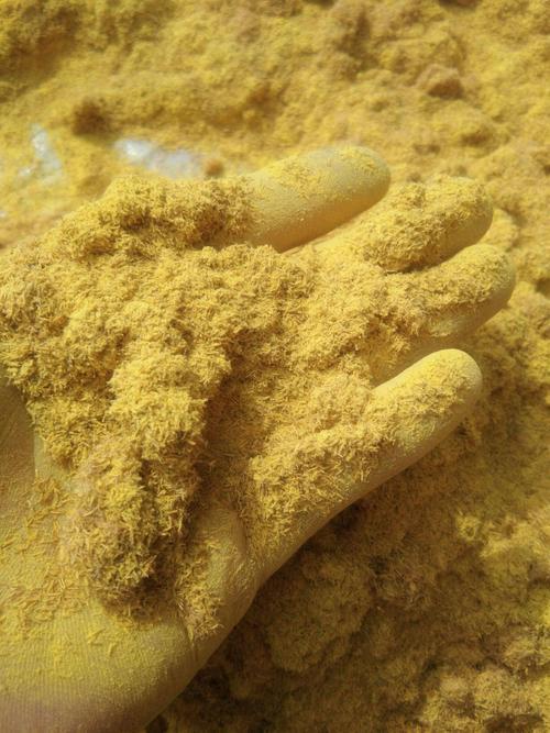 水烛花的特征，水烛是一种怎样的植物