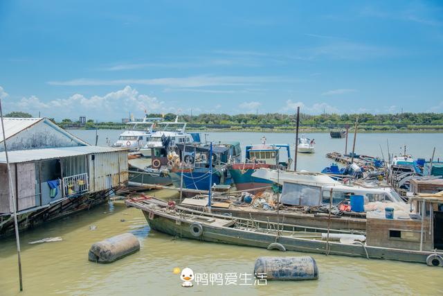 广州南沙湿地公园，南沙最大的湿地公园（广州南沙旅行攻略）