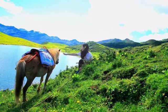 四川8月避暑旅游最佳去处，四川有一个清凉世界走红