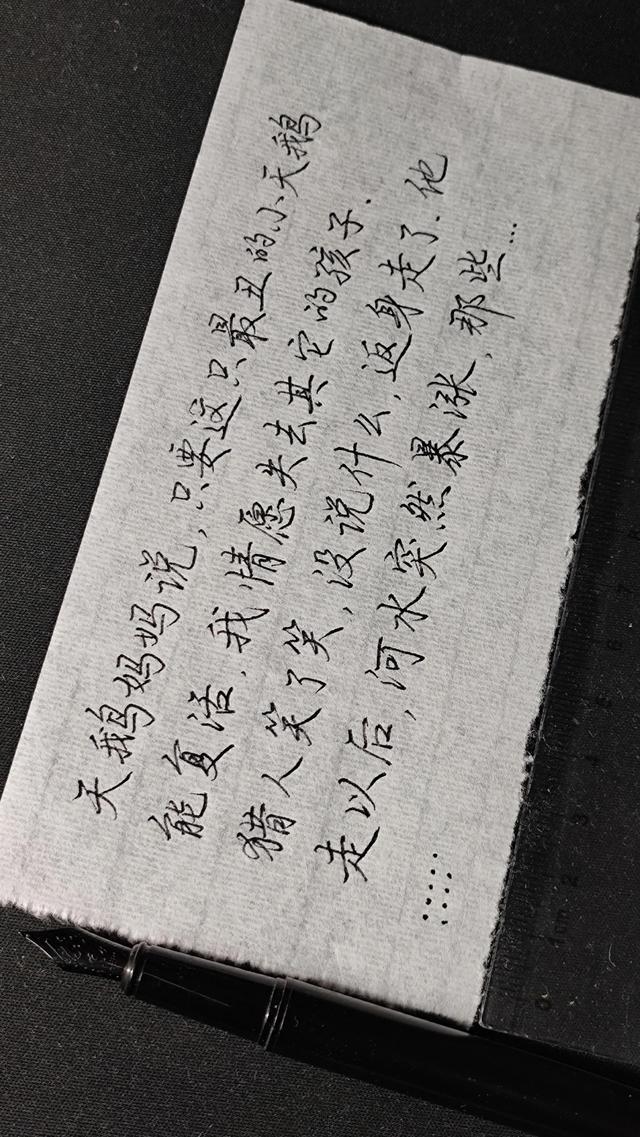 关于黑颈天鹅的故事，感情最专一的黑颈天鹅