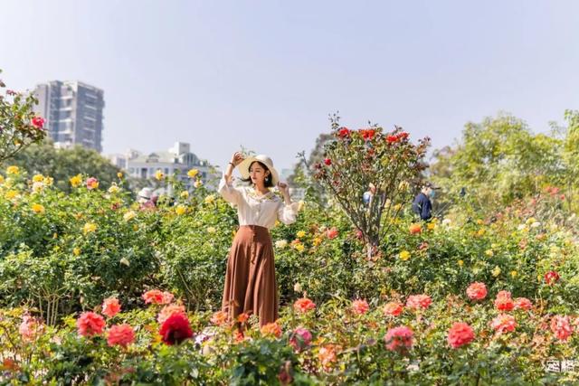 附近看花的地方，深圳最适合去赏花的地方（2023西安及周边赏樱花的地点大全）