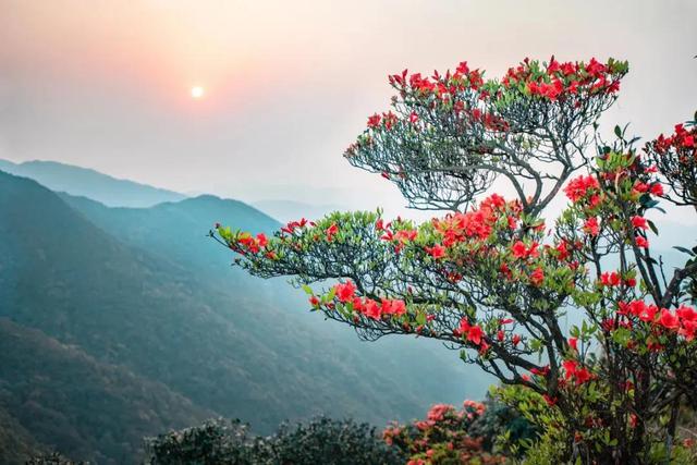 云浮天露山风景区好玩吗，广州出发自驾2h