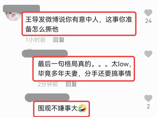 王岳伦与李湘最新消息，李湘：12年的婚姻