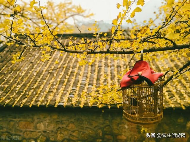 六盘水旅游景点推荐大全，六盘水的这些旅游景点