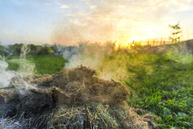 地球上最后一个人，地球上最后一个人怎么活下去（谁将是地球上最后一个生物）