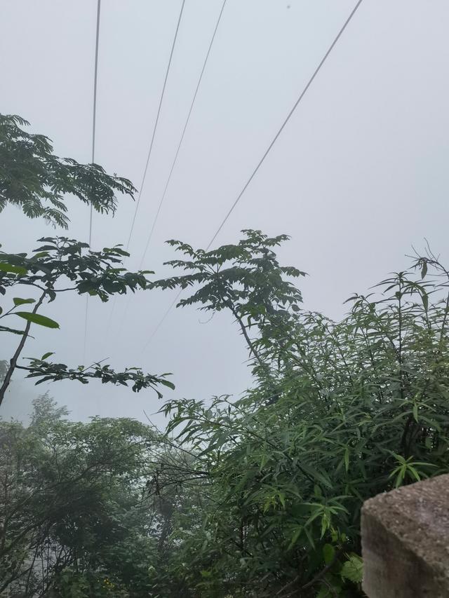 贵州铜仁梵净山，贵州铜仁梵净山风景区攻略（贵州省铜仁市梵净山风景区）